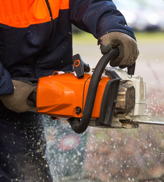 Chainsaw Training Courses